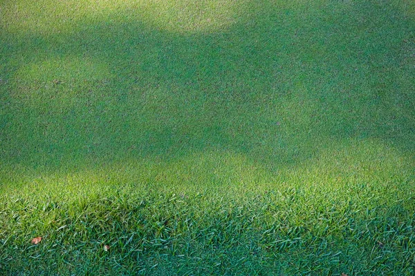 Campo de golfe, sombras de árvores na relva. Grama verde. Contexto. — Fotografia de Stock