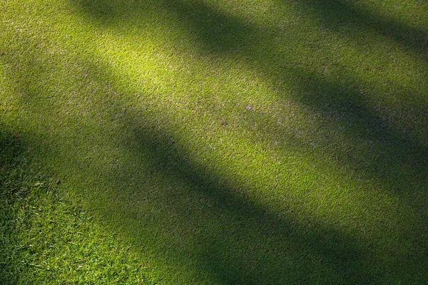 Golfbana, skuggor från träd på gräset. Grönt gräs. Bakgrund. — Stockfoto