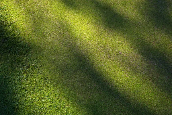 Campo de golfe, sombras de árvores na relva. Grama verde. Contexto. — Fotografia de Stock