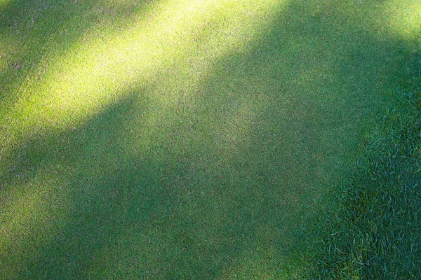 Golfbaan, schaduwen van bomen op het gras. Groen gras. Achtergrond. — Stockfoto