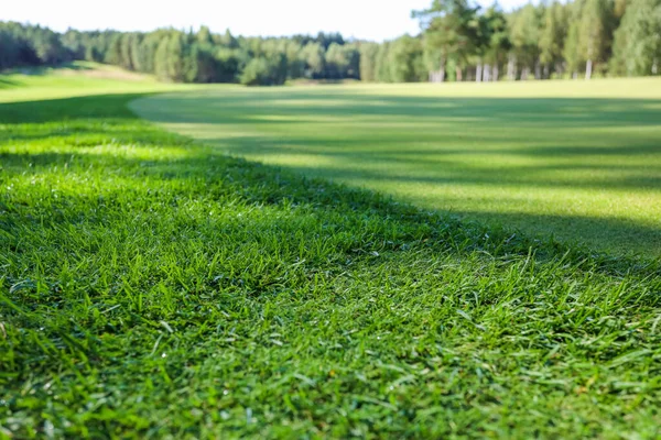 Erba verde. Contesto. Campo da golf, ombre dagli alberi sull'erba. — Foto Stock