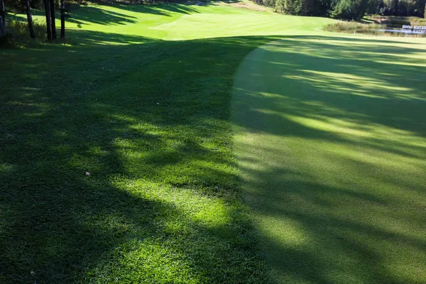 Grama verde. Contexto. Campo de golfe, sombras de árvores na grama. — Fotografia de Stock