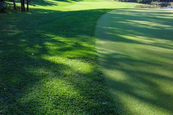 Grünes Gras. Hintergrund. Golfplatz, Schatten von Bäumen auf dem Rasen. — Stockfoto