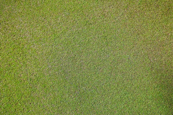 Detailní záběr. Tráva na golfovém hřišti je zelená, stíny na povrchu hřiště — Stock fotografie