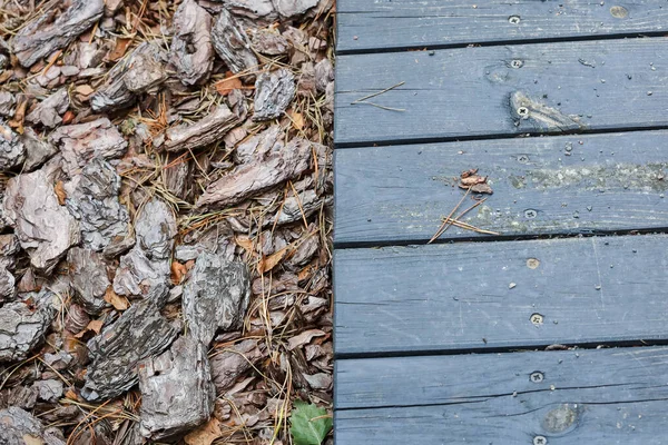 Pavimenti in legno vicino alle foglie verdi, corteccia, aghi di pino, pietre — Foto Stock