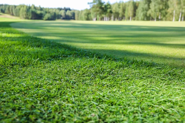 Hierba verde. Antecedentes Campo de golf, sombras de árboles en la hierba. —  Fotos de Stock