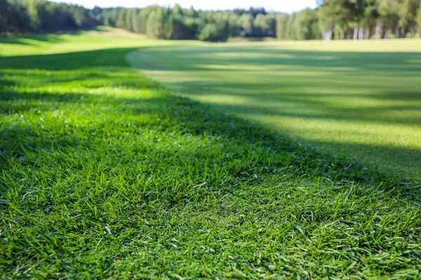 Hierba verde. Antecedentes Campo de golf, sombras de árboles en la hierba. —  Fotos de Stock