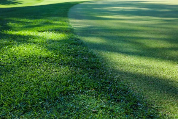 Hierba verde. Antecedentes Campo de golf, sombras de árboles en la hierba. —  Fotos de Stock