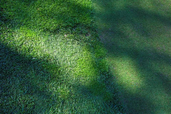 Grasstruktur. Das Gras auf dem Golfplatz ist grün, Schatten auf der Oberfläche des Platzes. Nahaufnahme. — Stockfoto