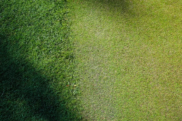 Gras auf dem Golfplatz ist grün, Schatten auf der Oberfläche des Platzes. Nahaufnahme. — Stockfoto