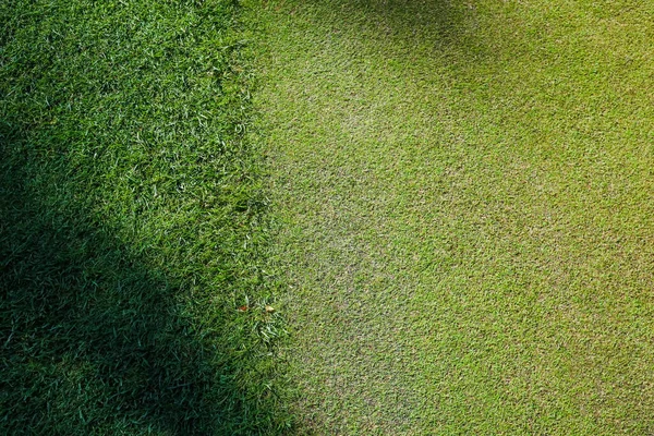 Grass on the golf course is green, shadows on the surface of the course. Close-up. — Stock Photo, Image