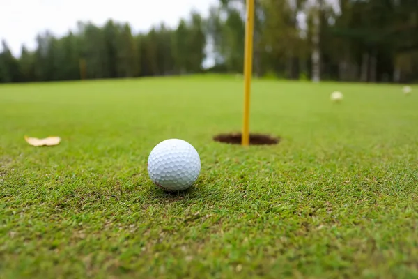 Гольф-клубы и мяч лежат на зеленой траве в лучах вечного солнца — стоковое фото