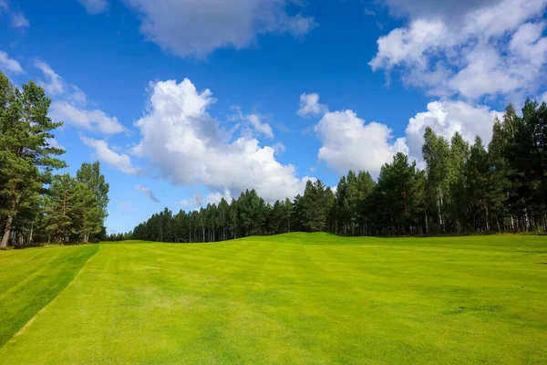 风景，高尔夫球场，绿草在森林的背景和明亮的天空与云彩 — 图库照片