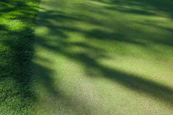 Textura de relva. A grama no campo de golfe é verde, sombras na superfície do campo. Close-up. — Fotografia de Stock