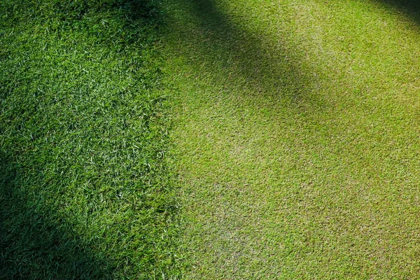 Gräs på golfbanan är grönt, skuggor på banans yta. Närbild. — Stockfoto