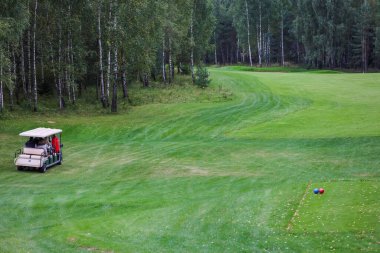 Yeşil alanda yolcularla birlikte elektrikli golf arabası.