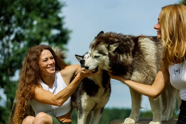 Deux femmes embrassant des chiens husky dans le parc — Photo