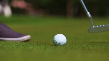 Golfer putting golf ball approach to the golf hole on the green golf