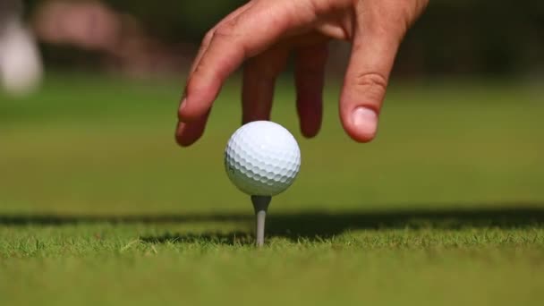 Golfer puts the ball on the stand before hitting — Stockvideo