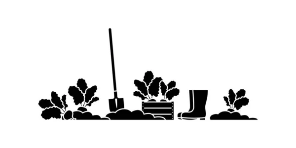 Sklizeň sady vektorových ilustrací kořenové zeleniny řepy. Zahradničení, farmaření na zemi s piktogramem lopaty na bílém — Stockový vektor