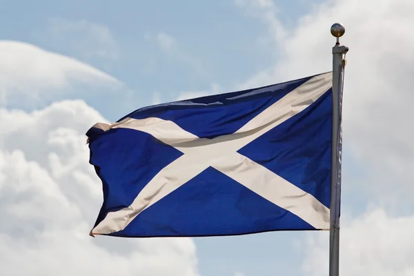 Scotland flag on flagpole — Stock Photo, Image