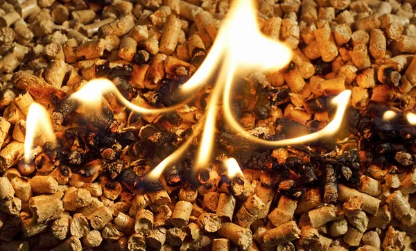 Burning Wood chip biomass fuel a renewable alternative source of — Stock Photo, Image