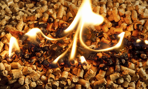 burning Wood chip biomass fuel a renewable alternative source of