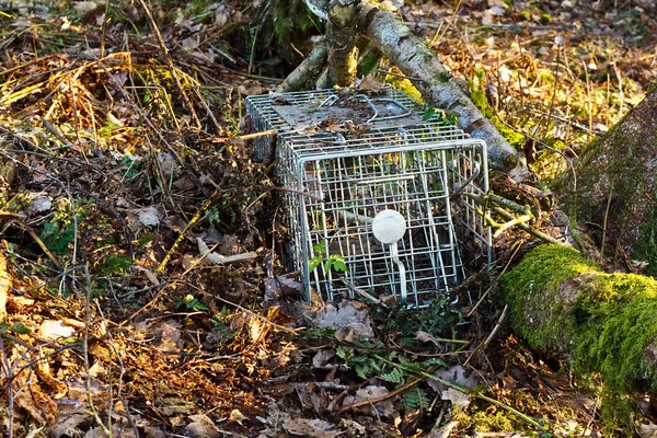 Small mammal trap — Stock Photo, Image