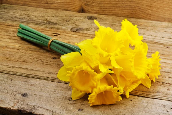 Bouquet de jonquilles printanières — Photo