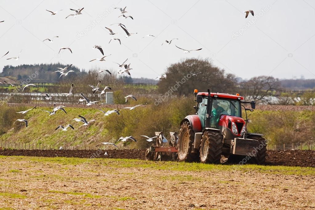 ploughing agricultural field