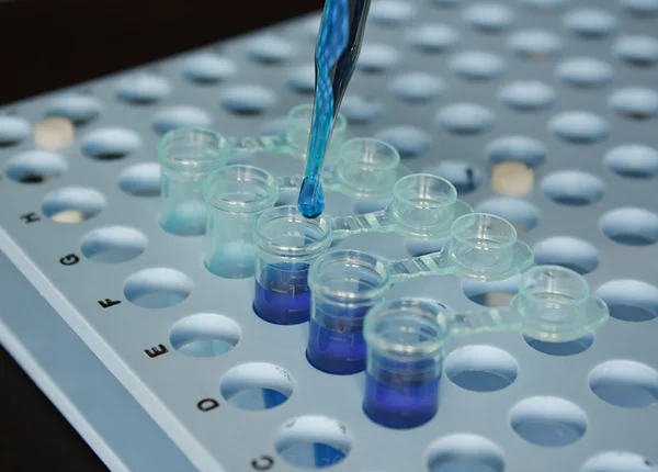 Biotechnology preparing vials with pipette — Stock Photo, Image