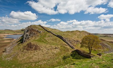 Sycamore Gap on Hadrian's Wall clipart