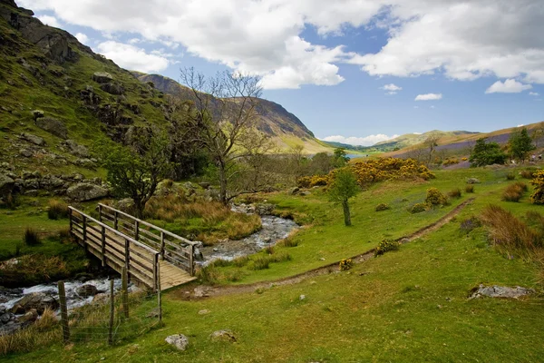 De iconische rannerdale vallei in het voorjaar van — Stockfoto