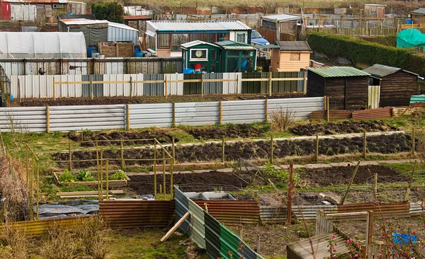 Toewijzing percelen in rijen — Stockfoto