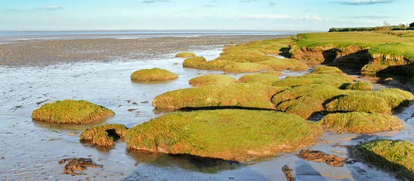 Solway firth salt marsh — Stockfoto