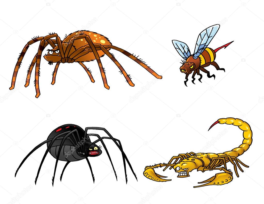 Collection of poisonous insects. Tarantula, black widow, scorpio