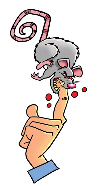 Mad white lab rat — Stock Photo, Image