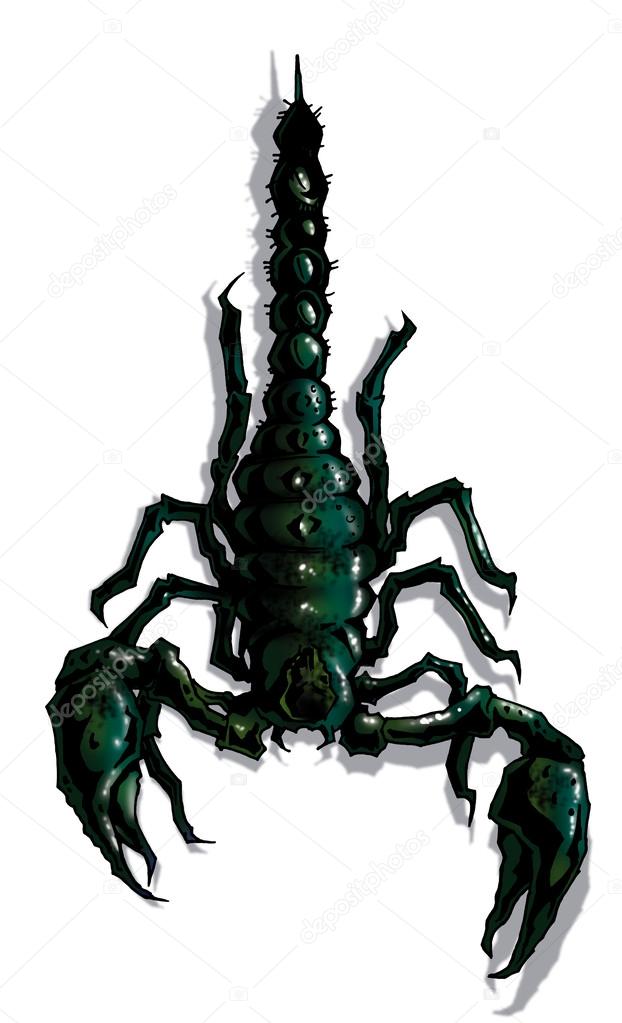 Scary scorpion isolated on white for t-shirt prints and tattoos