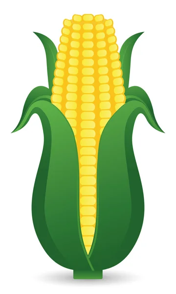 mısır