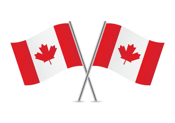 Canadian flags. Vector illustration. — Stock Vector