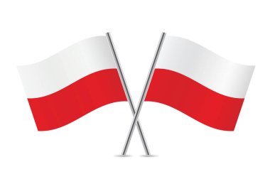 Polonya bayrakları aştı. Beyaz arka planda izole edilmiş Polonya bayrakları. Vektör simgesi ayarlandı. Vektör illüstrasyonu.