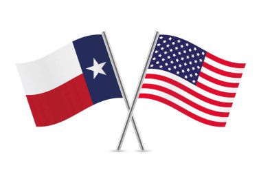 Teksas ve Amerika bayrakları aştı. Beyaz arka planda Teksas ve Amerikan bayrakları. Vektör simgesi ayarlandı. Vektör illüstrasyonu.