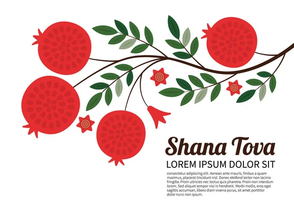 Rosh Hashanah design template with pomegranates. Shana Tova Lettering. 