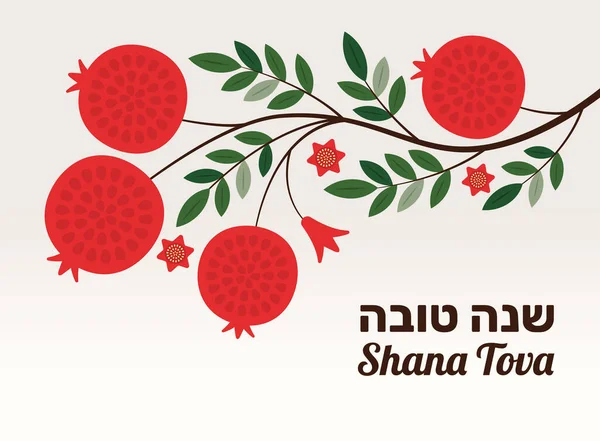 Rosh Hashanah Nar Dizayn Şablonu Shana Tova Mektubu — Stok Vektör