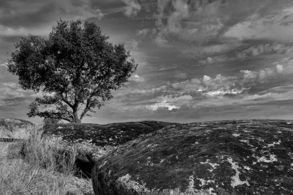 Monochromatyczny Krajobraz Barruecos Ekstremadura Hiszpania — Zdjęcie stockowe