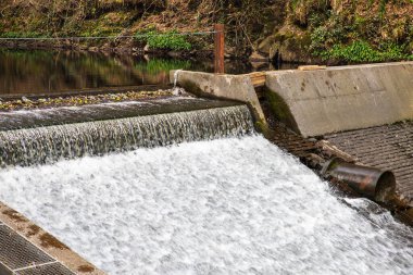 Carron Glen Wildlife Reserve, İskoçya, İngiltere Carron Nehri tarafından oyulmuş dik yamaçlı bir vadi boyunca uzanan güzel bir yerli meşe ve kül ormanıdır. Kanopi orman kuşları ile canlandırılır ve nehir balıkçılar ve balıkçılar için en iyi balıkçılığı sağlar..