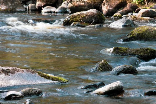 Carron Glen Wildlife Reserve Skoçya Ngiltere Carron Nehri Tarafından Oyulmuş — Stok fotoğraf