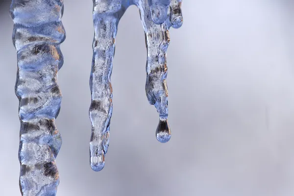 Icicle — Stock fotografie