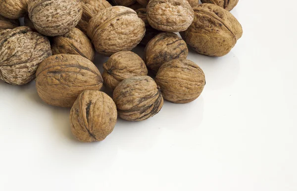 Walnut — Stock Photo, Image