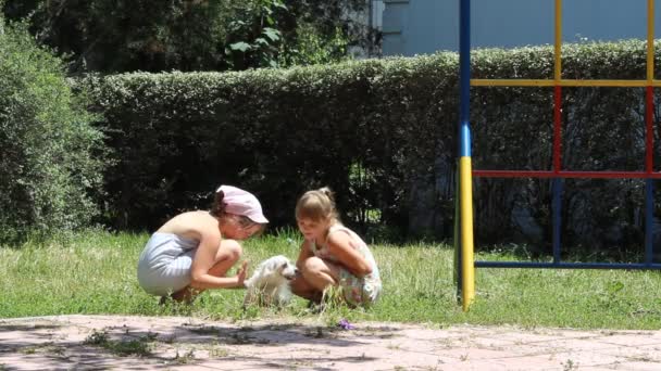 Niños con perro — Vídeos de Stock